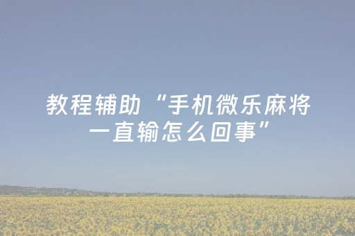 教程辅助“手机微乐麻将一直输怎么回事”（详细透视教程）-哔哩哔哩