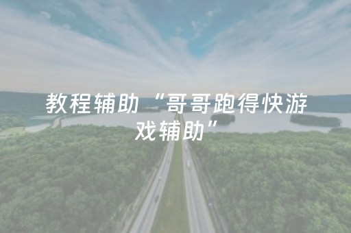 教程辅助“哥哥跑得快游戏辅助”（详细透视教程）-哔哩哔哩