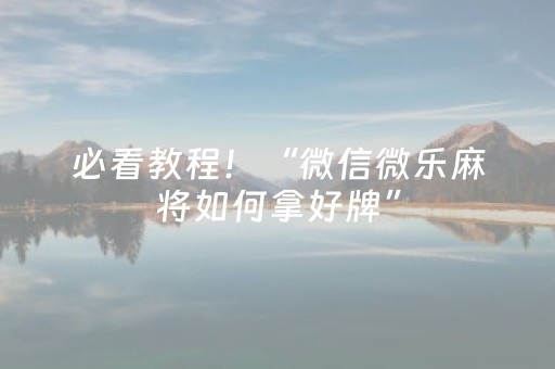 必看教程！“微信微乐麻将如何拿好牌”（详细辅助教程）-哔哩哔哩