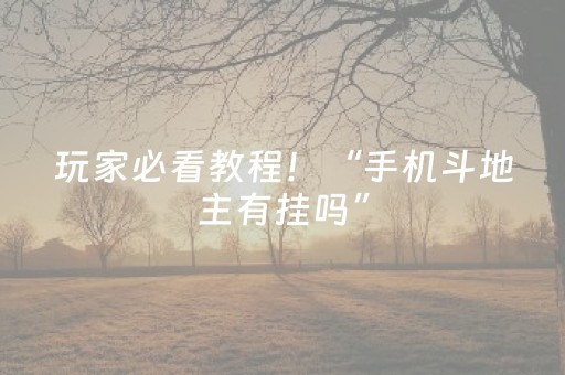 玩家必看教程！“手机斗地主有挂吗”（详细开挂教程）-哔哩哔哩