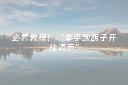 必看教程！“牵手跑胡子开挂演示”（详细开挂教程）-哔哩哔哩