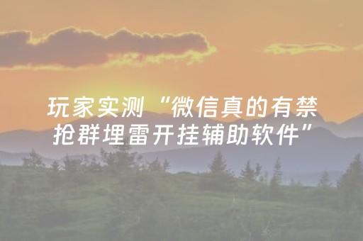 玩家实测“微信真的有禁抢群埋雷开挂辅助软件”（详细透视教程）-哔哩哔哩