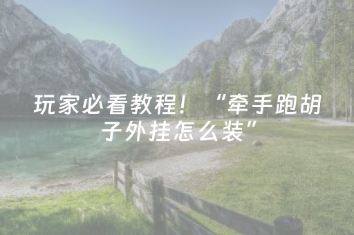 玩家必看教程！“牵手跑胡子外挂怎么装”（详细透视教程）-哔哩哔哩