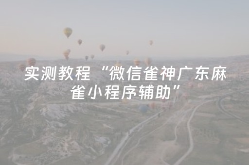 实测教程“微信雀神广东麻雀小程序辅助”（详细透视教程）-哔哩哔哩