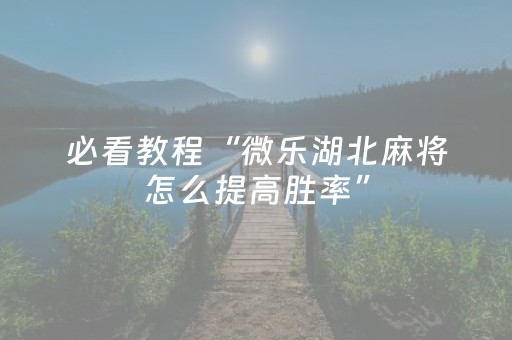 必看教程“微乐湖北麻将怎么提高胜率”（详细透视教程）-哔哩哔哩