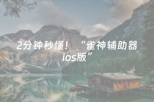 2分钟秒懂！“雀神辅助器ios版”（详细开挂教程）-哔哩哔哩