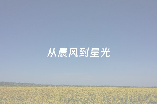 大神教教你“微信小程序安徽麻将专用神器”（控牌器)