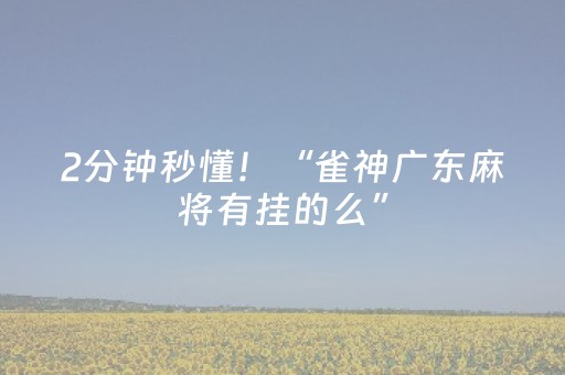 2分钟秒懂！“雀神广东麻将有挂的么”（详细透视教程）-哔哩哔哩