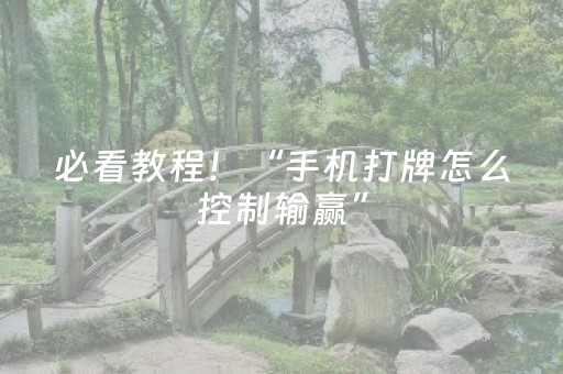必看教程！“手机打牌怎么控制输赢”（详细透视教程）-哔哩哔哩