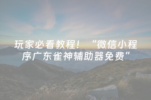 玩家必看教程！“微信小程序广东雀神辅助器免费”（详细开挂教程）-哔哩哔哩