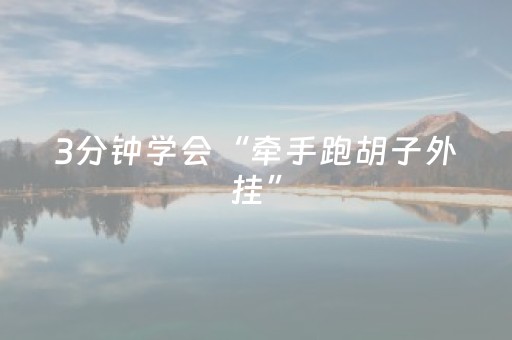3分钟学会“牵手跑胡子外挂”（详细透视教程）-哔哩哔哩