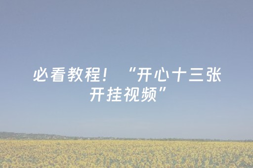 必看教程！“开心十三张开挂视频”（详细辅助教程）-哔哩哔哩