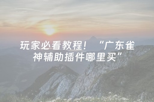 玩家必看教程！“广东雀神辅助插件哪里买”（详细辅助教程）-哔哩哔哩