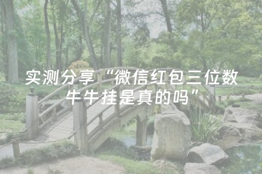 实测分享“微信红包三位数牛牛挂是真的吗”（详细透视教程）-哔哩哔哩