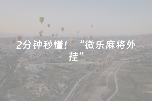 2分钟秒懂！“微乐麻将外挂”（详细透视教程）-哔哩哔哩