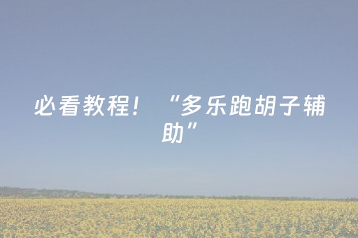 必看教程！“多乐跑胡子辅助”（详细辅助教程）-哔哩哔哩