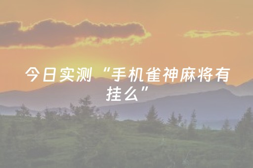 今日实测“手机雀神麻将有挂么”（详细透视教程）-哔哩哔哩