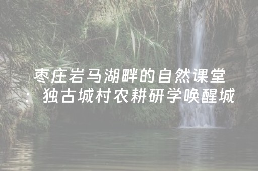 厉害了“微信小程序云南麻将怎么让系统发好牌”（如何提高胜率)