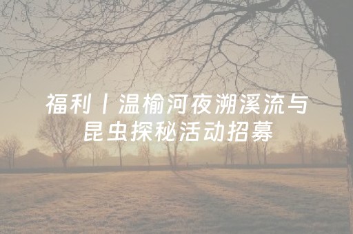 分享玩家攻略“微信小程序龙江麻将有什么规律”（怎么能得到好牌)