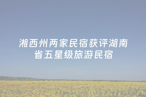 终于懂了“手机麻将输赢跟id号有关系吗”（怎么能让牌好一点)