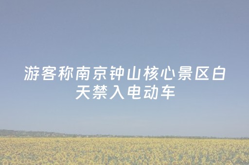 玩家必备教程“微小程序龙江麻将有什么规律”（为什么有人一直赢)