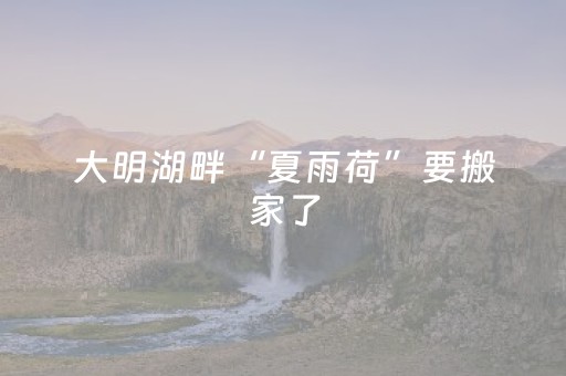 玩家必看攻略“微信小程序福建麻将专用神器”（免费辅助)