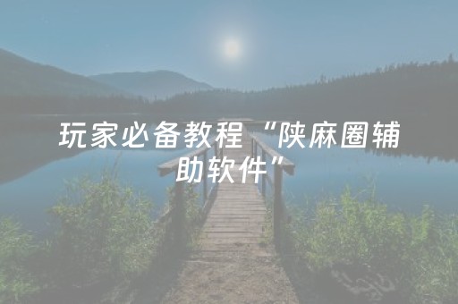 玩家必备教程“陕麻圈辅助软件”（详细透视教程）-哔哩哔哩