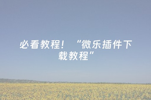 必看教程！“微乐插件下载教程”（详细透视教程）-哔哩哔哩
