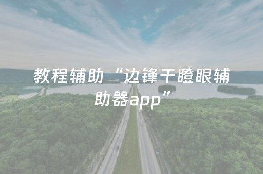 教程辅助“边锋干瞪眼辅助器app”（详细透视教程）-哔哩哔哩