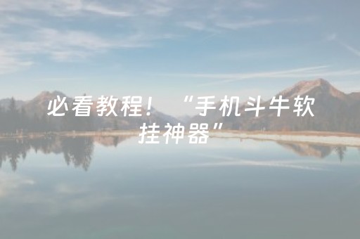 必看教程！“手机斗牛软挂神器”（详细辅助教程）-哔哩哔哩