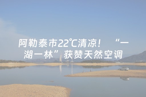 玩家必备攻略“微小程序卡五星辅助器”（辅助挂发牌规律)
