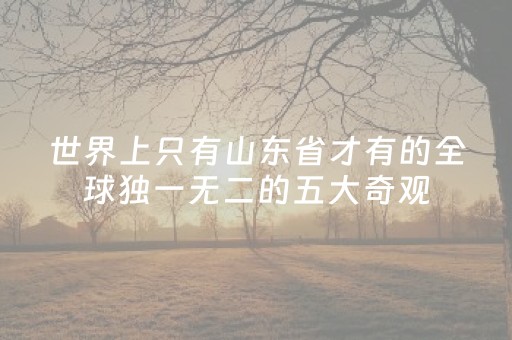 盘点十款“微信小程序家乡麻将变牌神器”（赢的技巧规律)