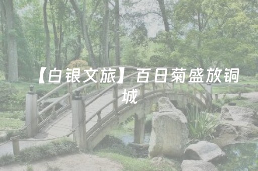 终于懂了“微小程序麻将助赢神器”（辅助挂发牌规律)