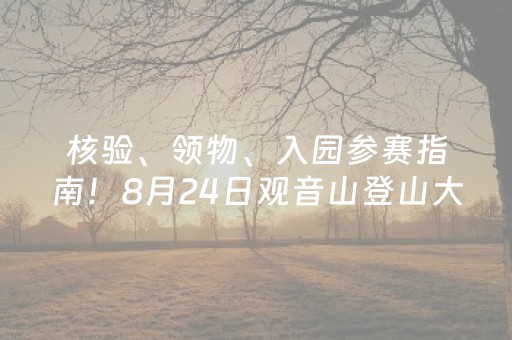 终于懂了“微信小程序捉鸡麻将控牌器”（万能开挂器)