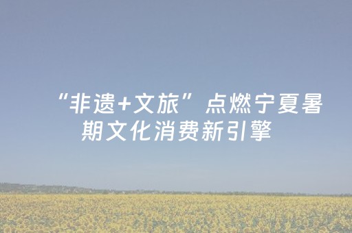 “非遗+文旅”点燃宁夏暑期文化消费新引擎