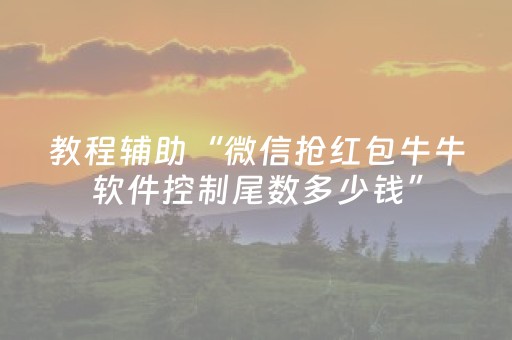 教程辅助“微信抢红包牛牛软件控制尾数多少钱”（详细透视教程）-哔哩哔哩