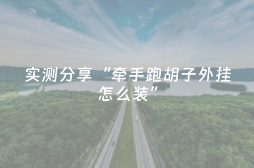 实测分享“牵手跑胡子外挂怎么装”（详细辅助教程）-哔哩哔哩