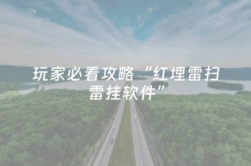 玩家必看攻略“红埋雷扫雷挂软件”（详细透视教程）-哔哩哔哩