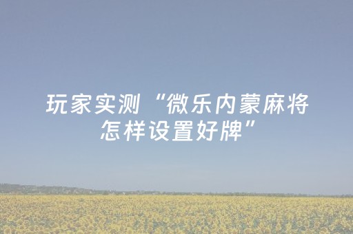 玩家实测“微乐内蒙麻将怎样设置好牌”（详细透视教程）-哔哩哔哩