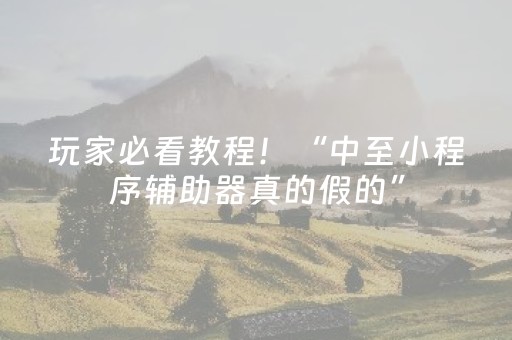 玩家必看教程！“中至小程序辅助器真的假的”（详细透视教程）-哔哩哔哩