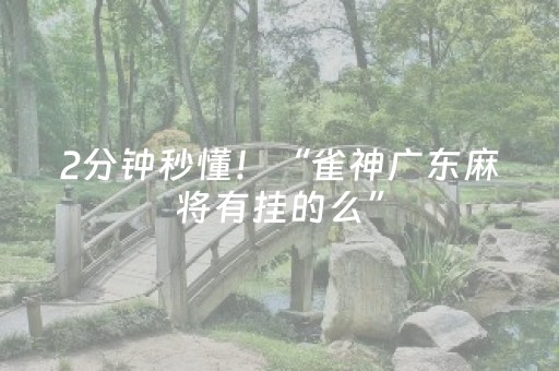 2分钟秒懂！“雀神广东麻将有挂的么”（详细开挂教程）-哔哩哔哩