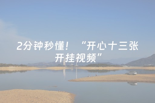 2分钟秒懂！“开心十三张开挂视频”（详细辅助教程）-哔哩哔哩