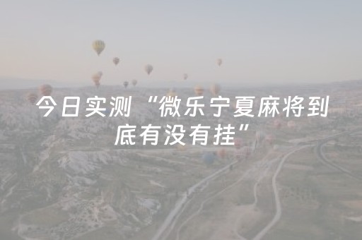 今日实测“微乐宁夏麻将到底有没有挂”（详细辅助教程）-哔哩哔哩