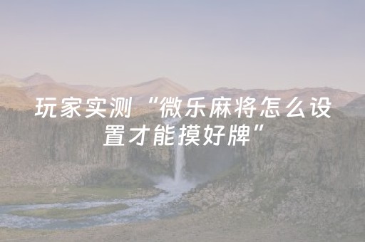 玩家实测“微乐麻将怎么设置才能摸好牌”（详细透视教程）-哔哩哔哩