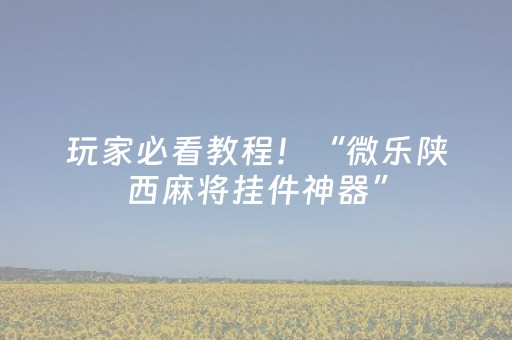 玩家必看教程！“微乐陕西麻将挂件神器”（详细透视教程）-哔哩哔哩
