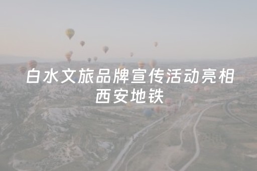 白水文旅品牌宣传活动亮相西安地铁