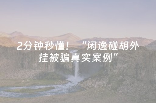 2分钟秒懂！“闲逸碰胡外挂被骗真实案例”（详细开挂教程）-哔哩哔哩