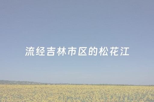 关于“微信跑得快怎么拿好牌”（装挂怎么安装)