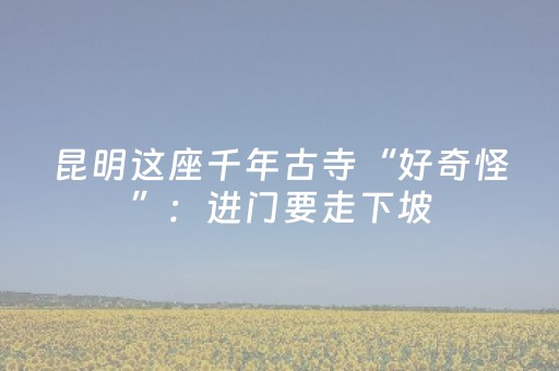 黑料“微信小程序浙江麻将辅助插件”（怎么增加胜率)
