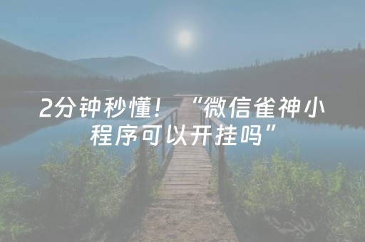 2分钟秒懂！“微信雀神小程序可以开挂吗”（详细开挂教程）-哔哩哔哩